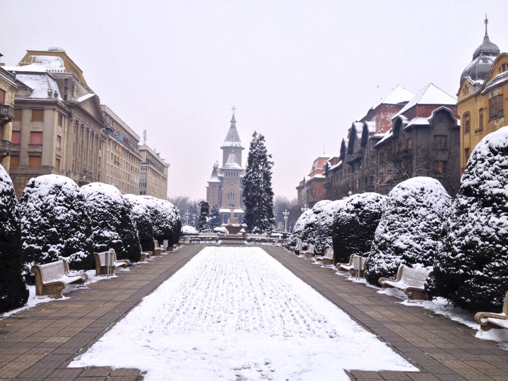 Timisoara has had it's warmest winter, but we did get a little snow a few weeks ago. 